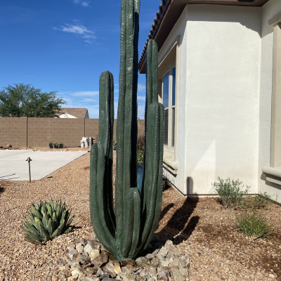 WATER FEATURES